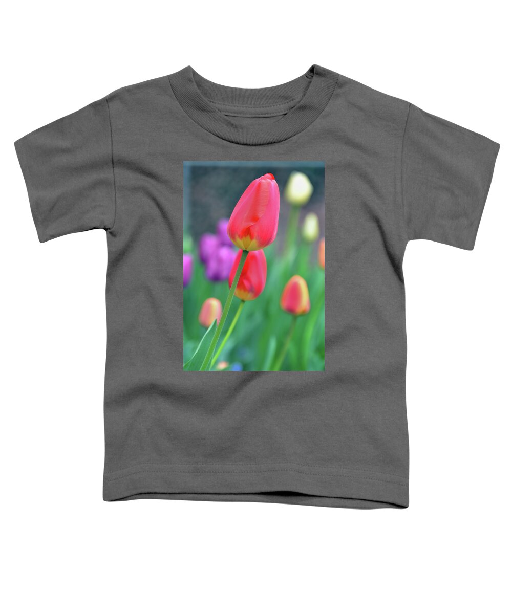 Tulip Toddler T-Shirt featuring the photograph Go Your Own Way by Angelina Tamez