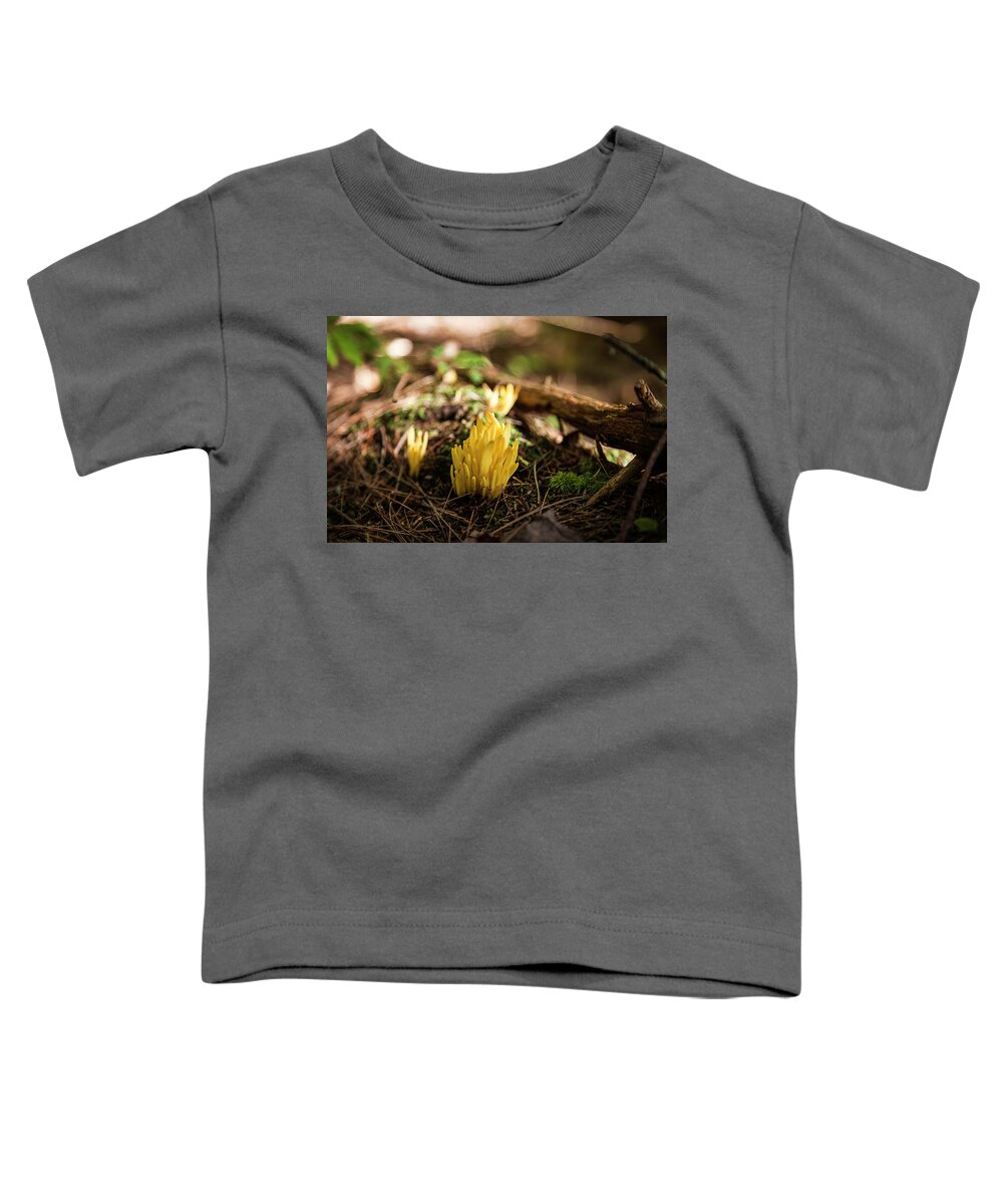 Fall Toddler T-Shirt featuring the photograph Golden Spindles by Benjamin Dahl