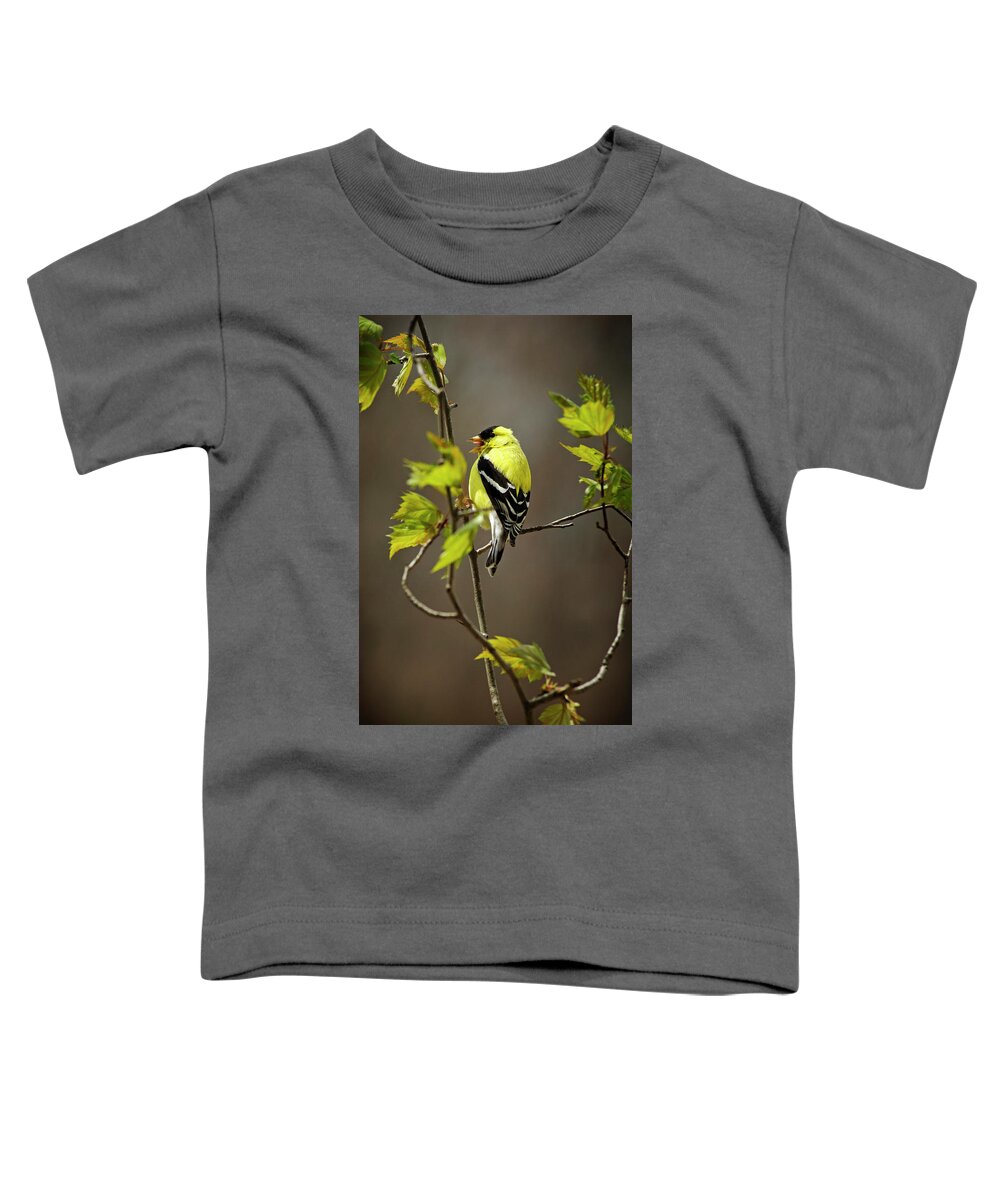 Bird Toddler T-Shirt featuring the photograph Goldfinch Suspended In Song by Christina Rollo
