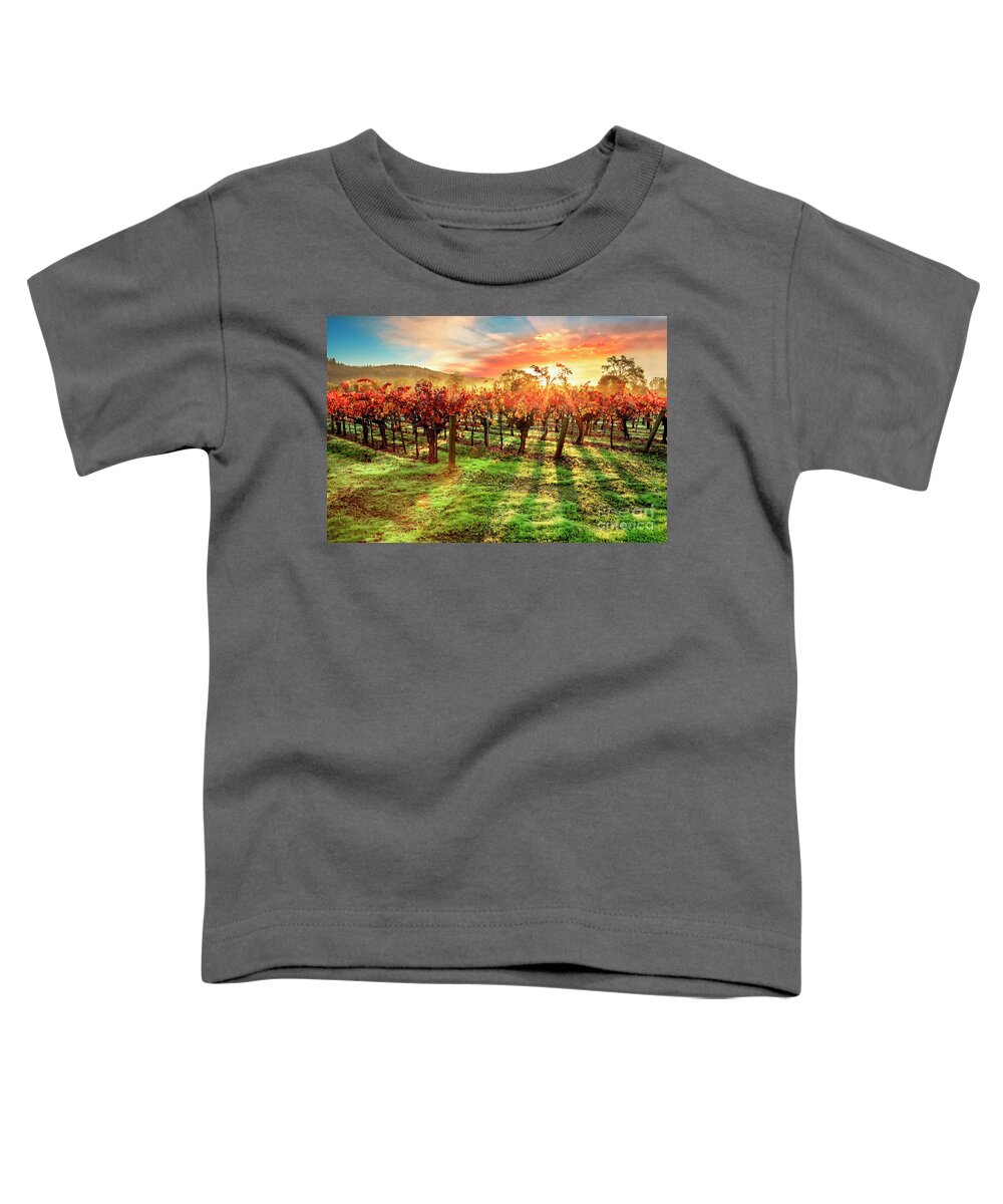 Napa Toddler T-Shirt featuring the photograph Good Morning Napa by Jon Neidert