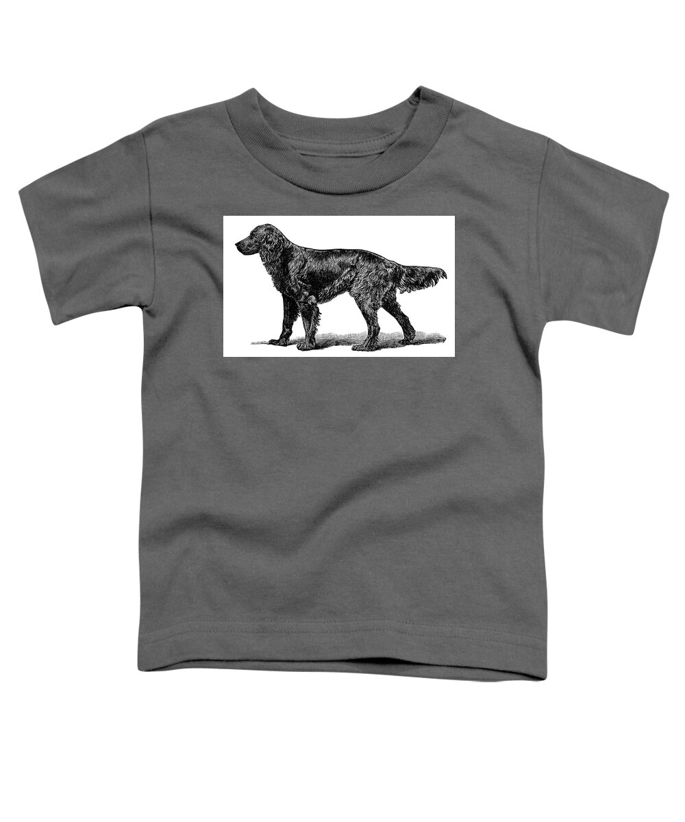 Gordon Setter Dog Engraving Toddler T-Shirt featuring the painting Gordon Setter Dog Engraving by MotionAge Designs