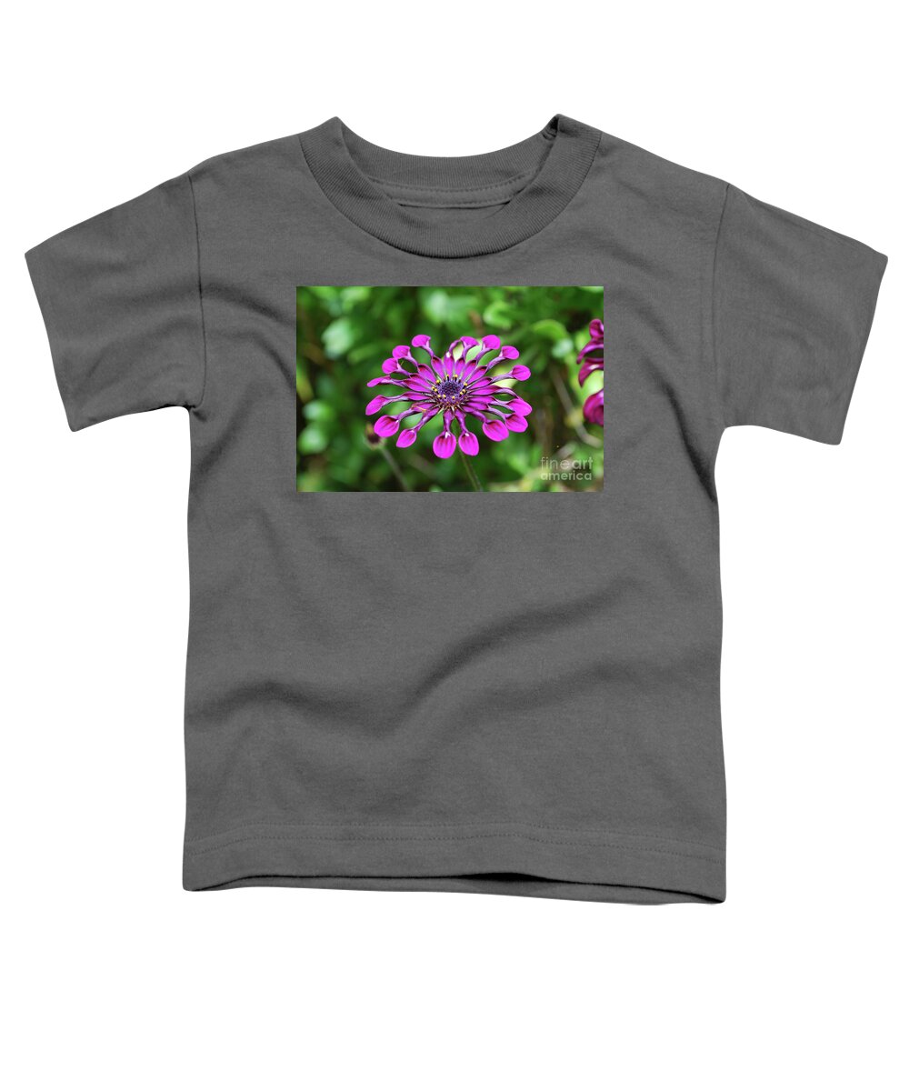 Tropical-flower Toddler T-Shirt featuring the photograph Gorgeous Flowering Tropical Flower in a Garden by DejaVu Designs