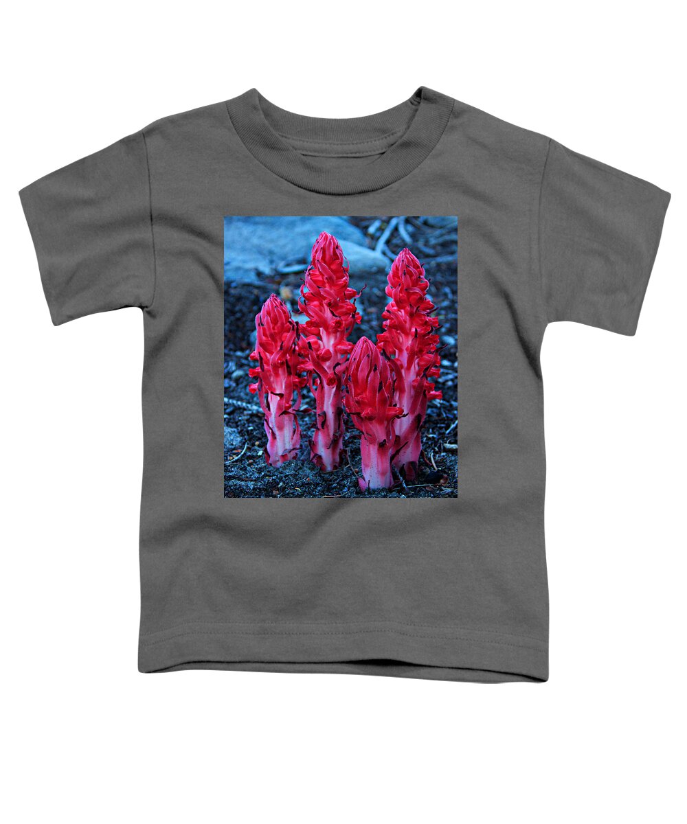 Nature Toddler T-Shirt featuring the photograph Gorgeous Snowflower by Sean Sarsfield