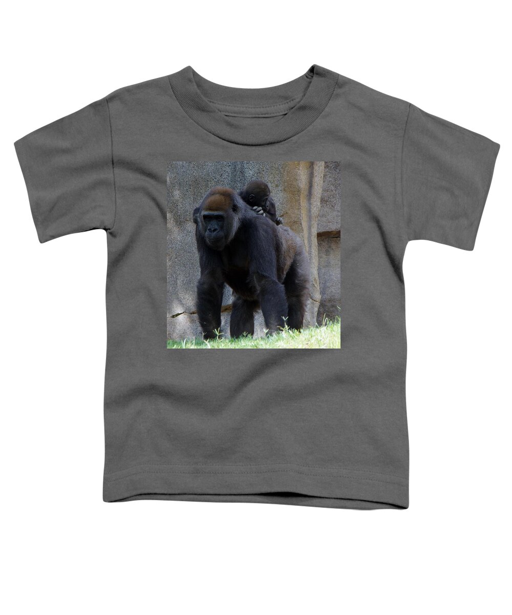 Gorilla Toddler T-Shirt featuring the photograph Gorilla Baby Carry 1 by Phyllis Spoor