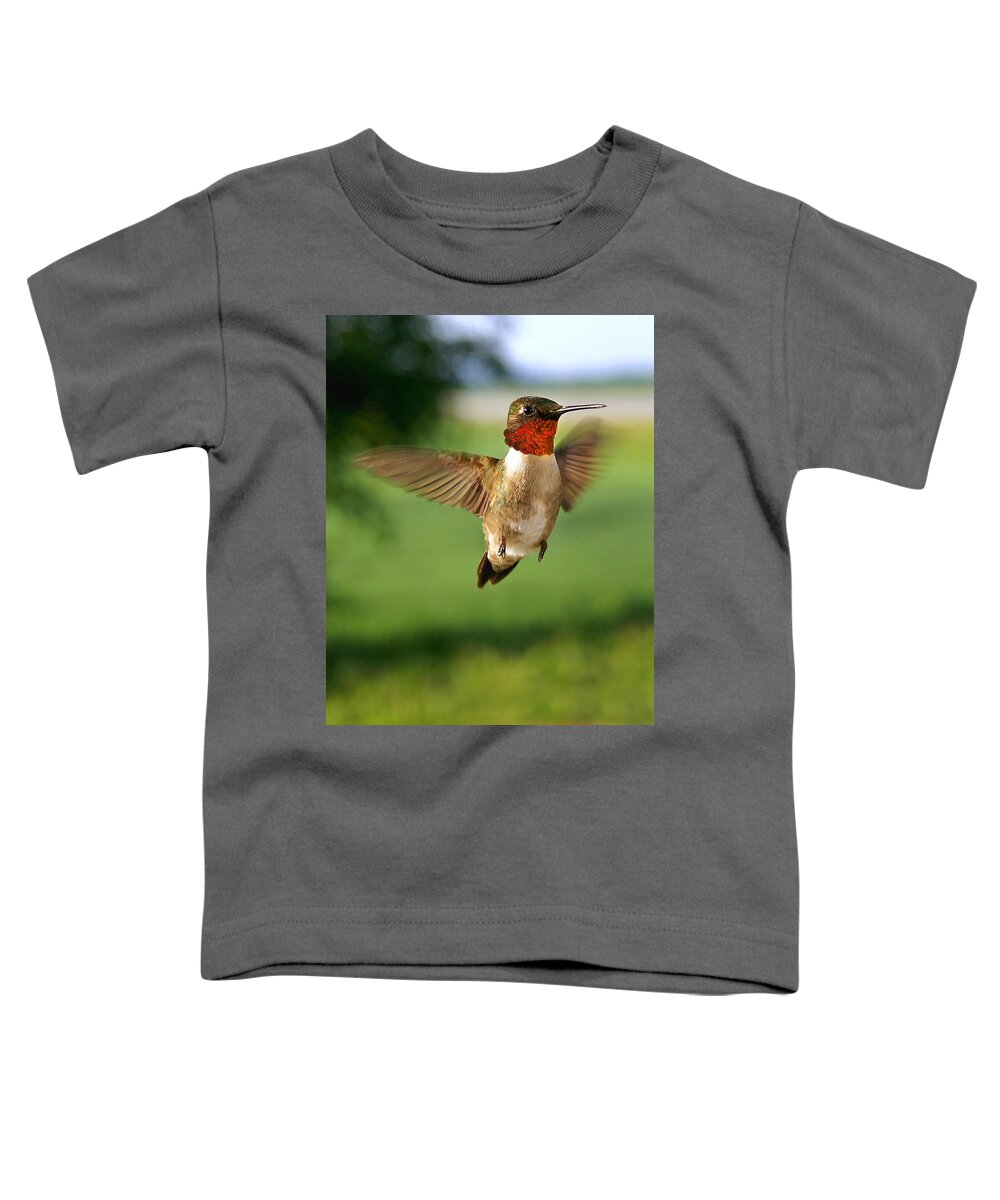 Vertical Toddler T-Shirt featuring the photograph Grand Display by Bill Pevlor