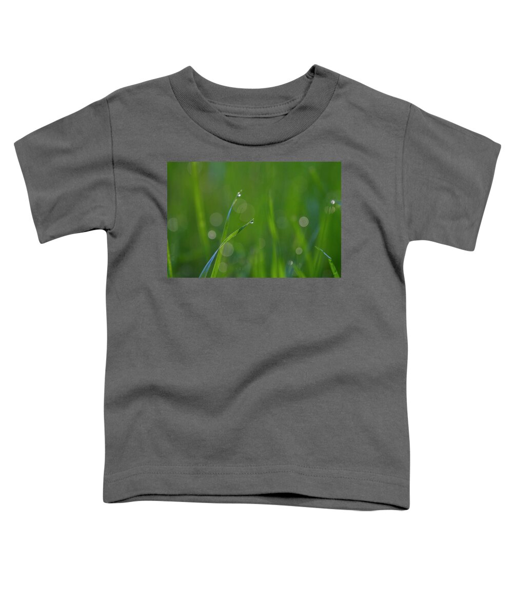 Grass Toddler T-Shirt featuring the photograph Grass in spring by Kathy Adams Clark