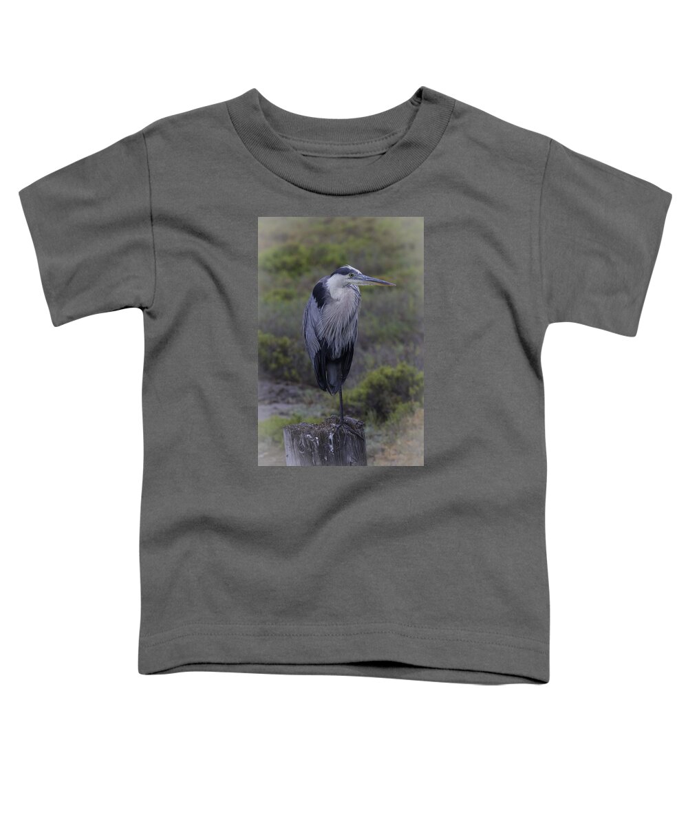 Great Blue Heron Toddler T-Shirt featuring the photograph Great Blue Heron by Dusty Wynne