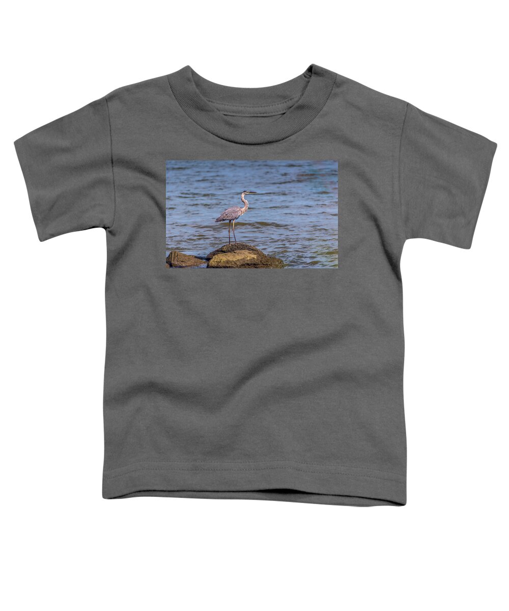 Ardea Herodias Toddler T-Shirt featuring the photograph Great Blue Heron Gaze by Patrick Wolf
