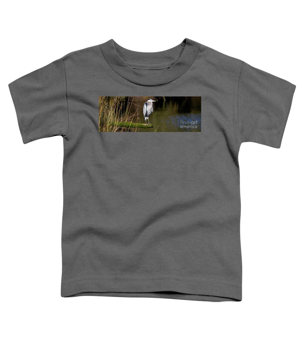 Denise Bruchman Toddler T-Shirt featuring the photograph Great Blue Heron on a Log by Denise Bruchman