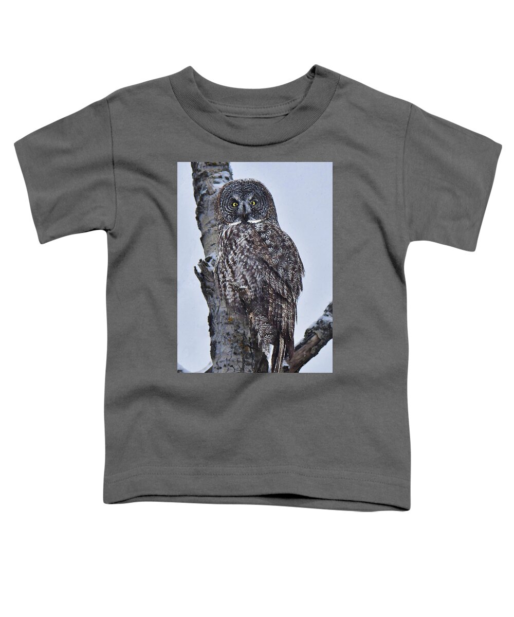 Bird Toddler T-Shirt featuring the photograph Great Gray Owl by Alan Lenk