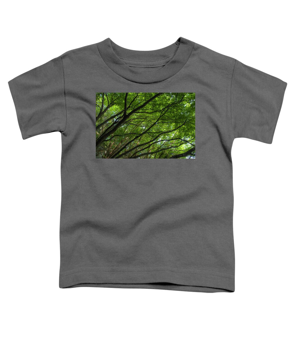 Tree Toddler T-Shirt featuring the photograph Green forest by Nicola Aristolao