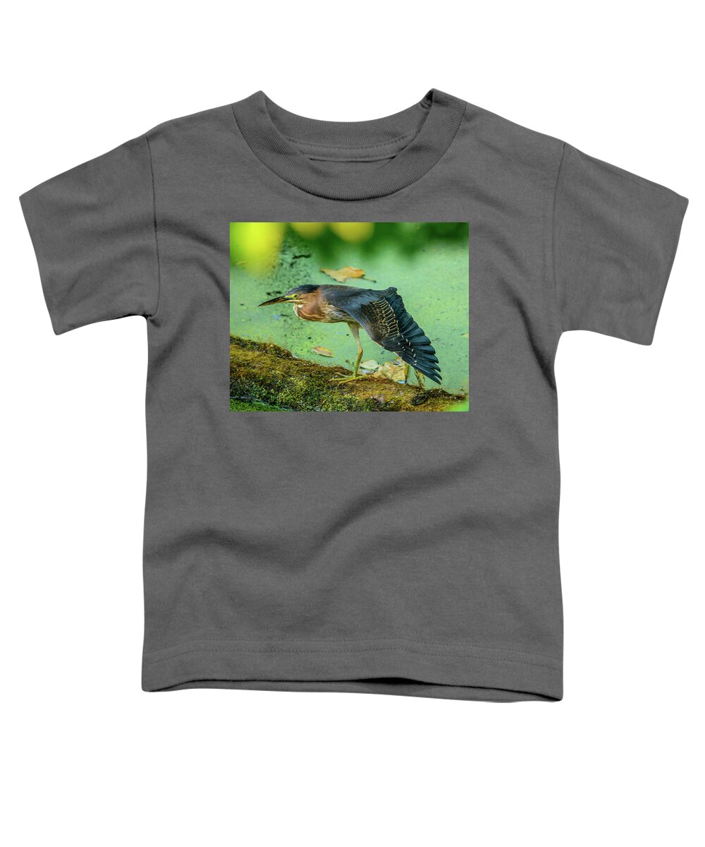 Green Heron Toddler T-Shirt featuring the photograph Green Heron Wing by Jerry Cahill