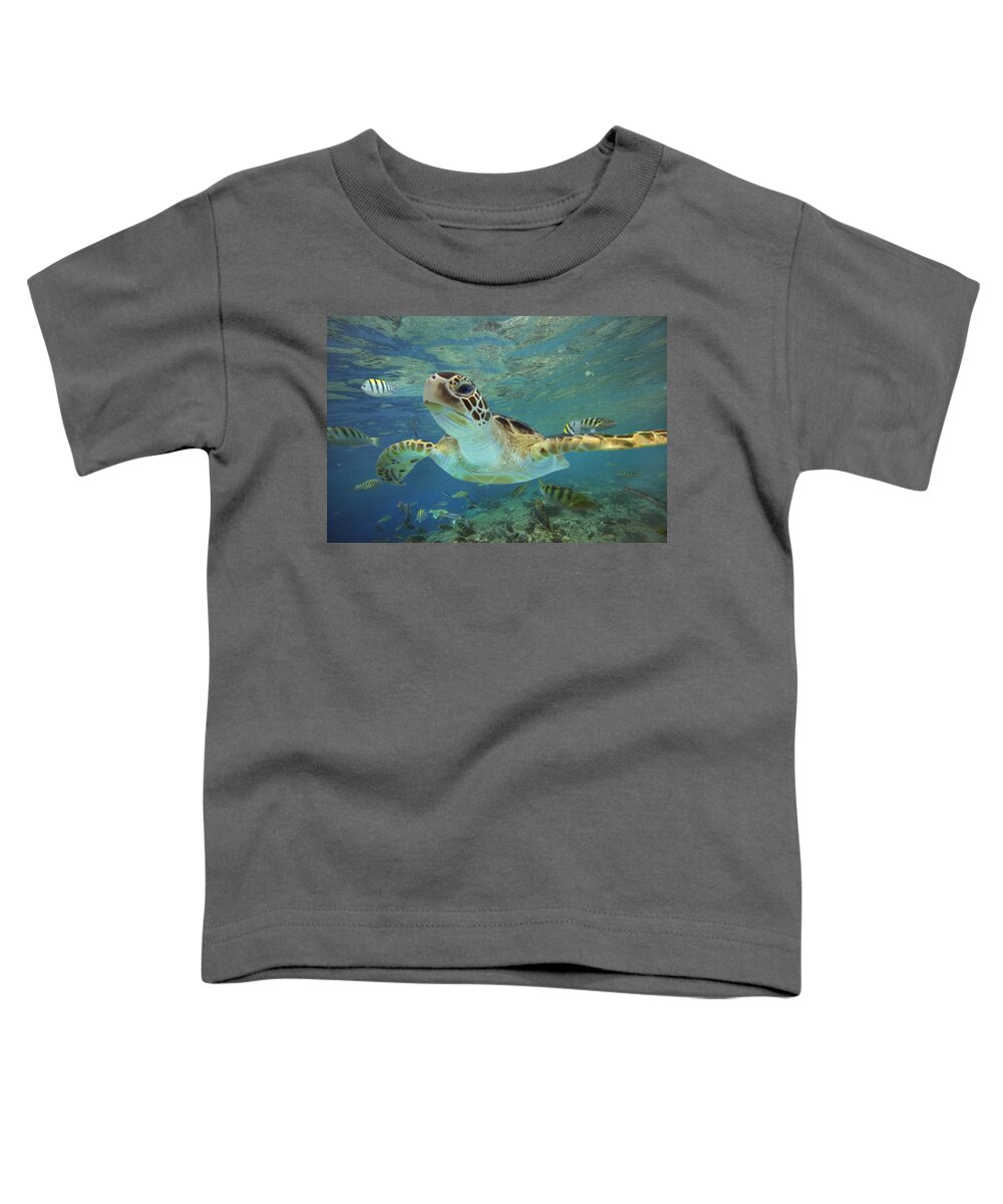 #faatoppicks Toddler T-Shirt featuring the photograph Green Sea Turtle Swimming by Tim Fitzharris