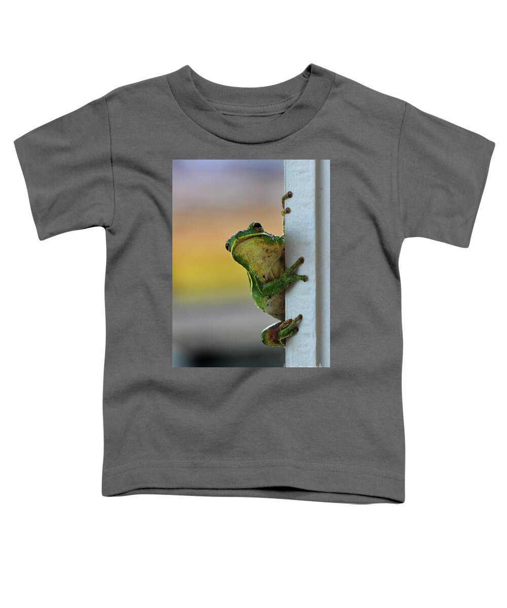 Frog Toddler T-Shirt featuring the photograph Green Tree Frog It's Not Easy Being Green by Karen Adams