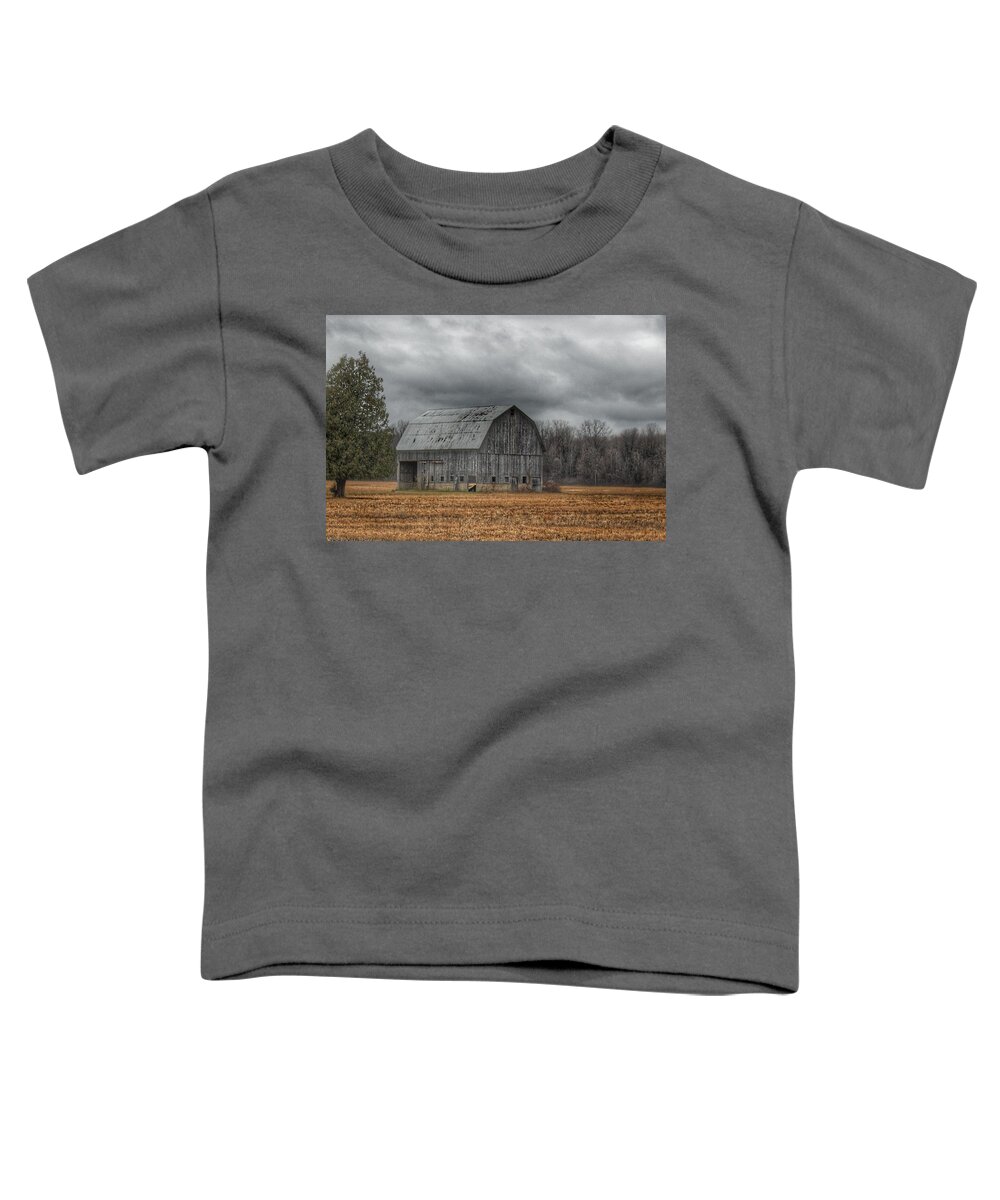 Barn Toddler T-Shirt featuring the photograph 0024 - Grey Barn and Tree by Sheryl L Sutter