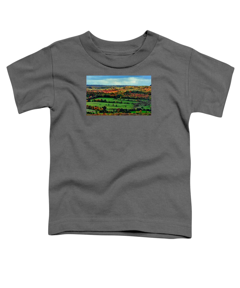 Grey County Toddler T-Shirt featuring the photograph Grey County Ontario Autumn by Andrea Kollo