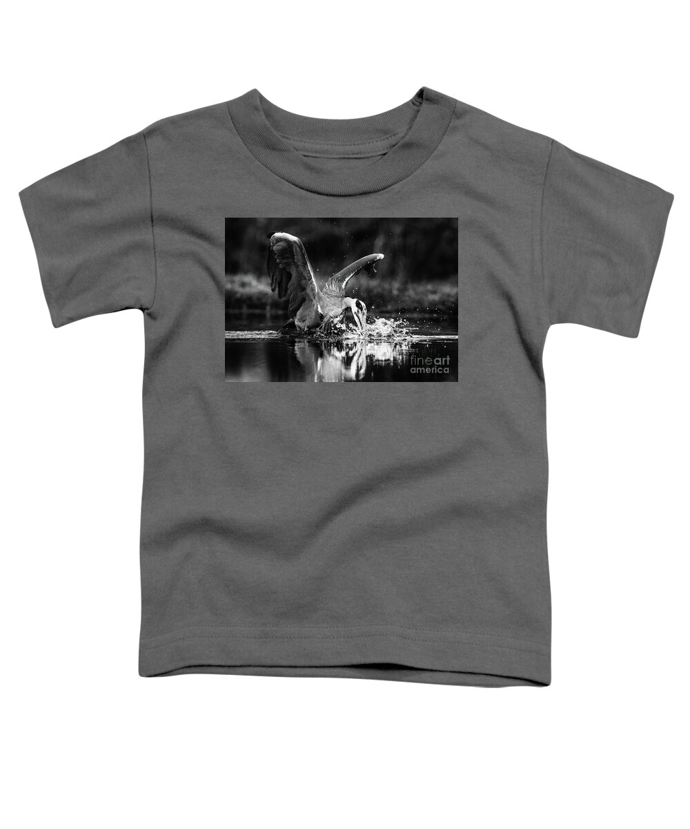Grey Heron Fishing Toddler T-Shirt featuring the photograph Grey Heron Trout Fishing by Keith Thorburn LRPS EFIAP CPAGB