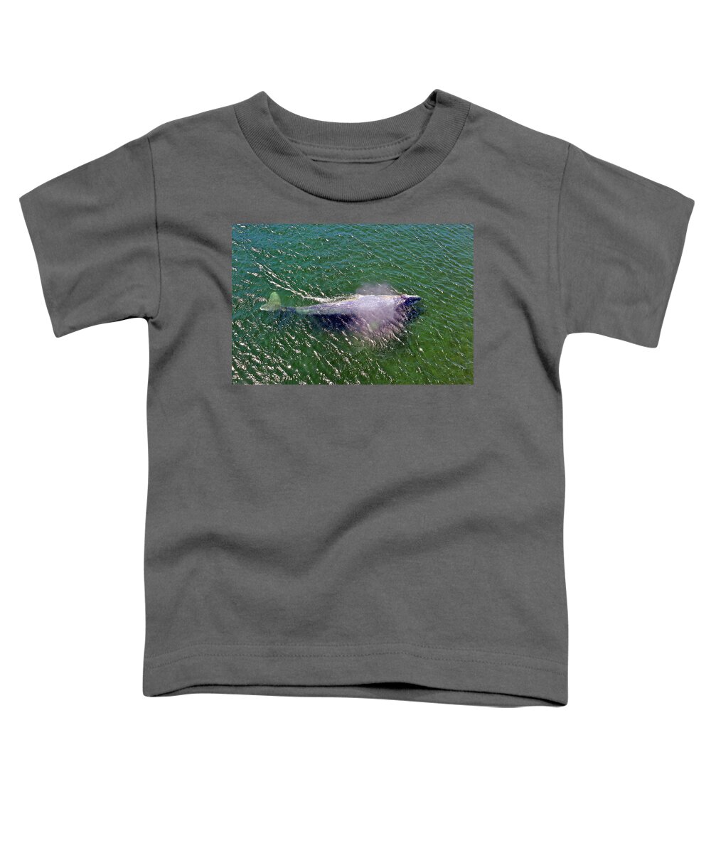 Photograph Toddler T-Shirt featuring the photograph Grey Whale by Richard Gehlbach