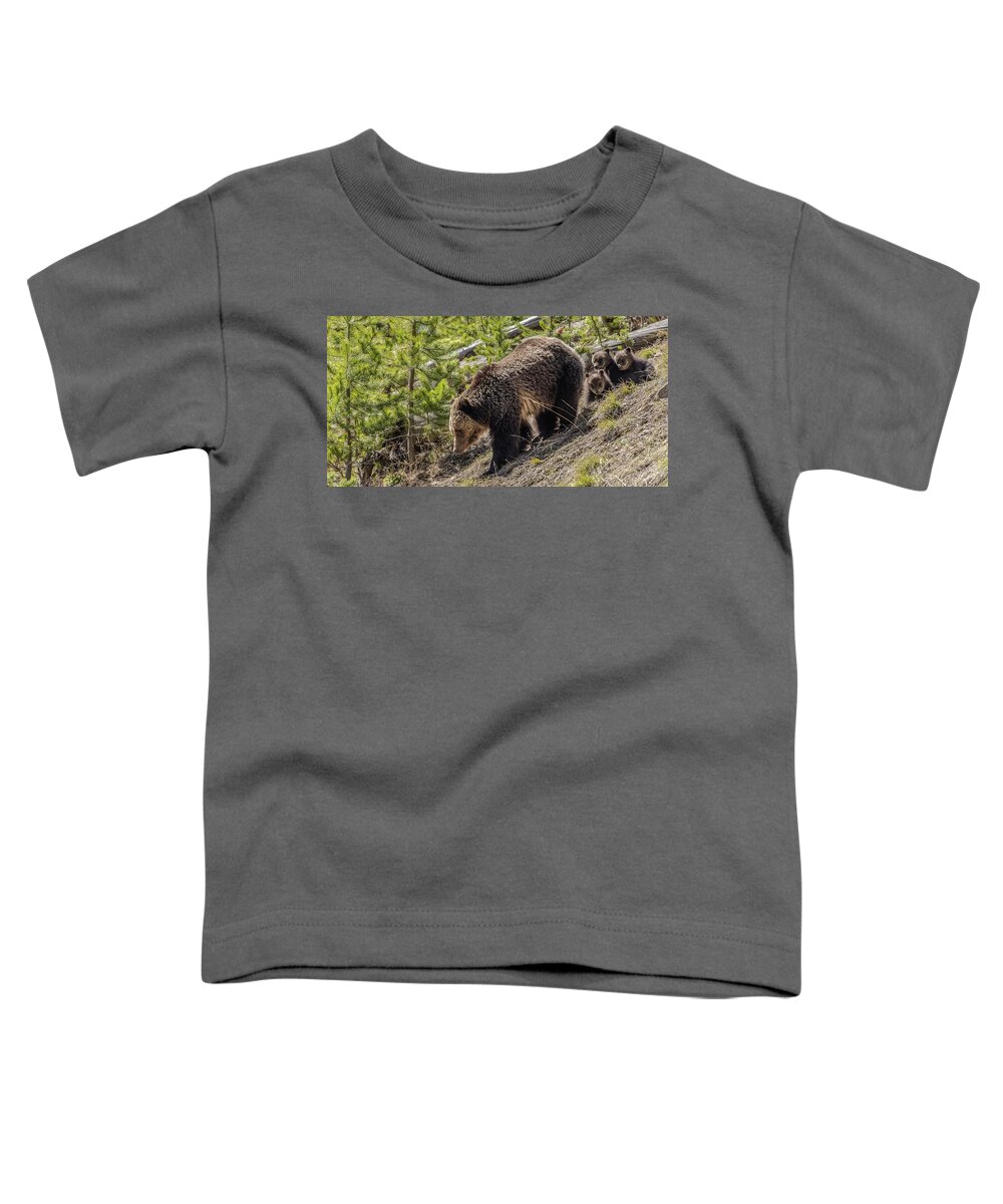 Grizzlies Toddler T-Shirt featuring the photograph Grizzly Bears Coming Down The Mountain by Yeates Photography