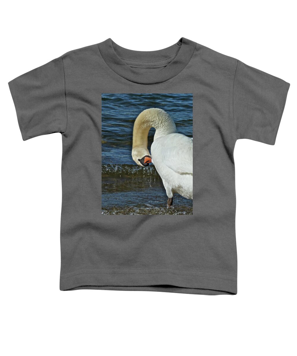 Birds Toddler T-Shirt featuring the photograph Grooming by Diana Hatcher