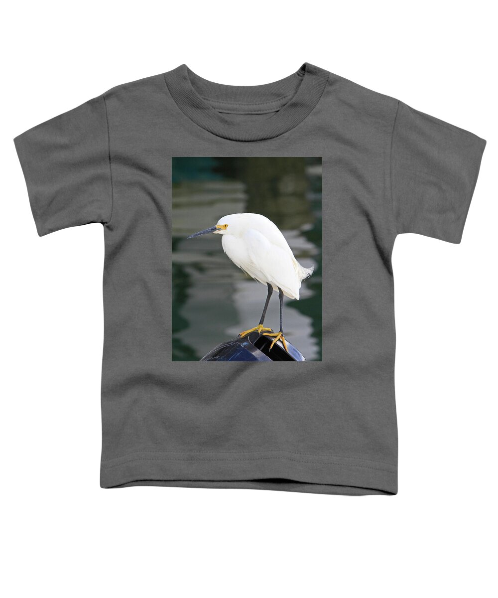 Egret Toddler T-Shirt featuring the photograph Gru? by Shoal Hollingsworth