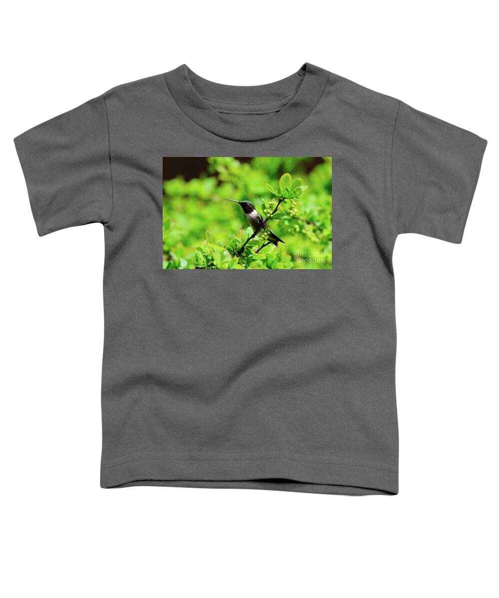 Hummingbird Toddler T-Shirt featuring the photograph Guarding His Space by Sandra Updyke