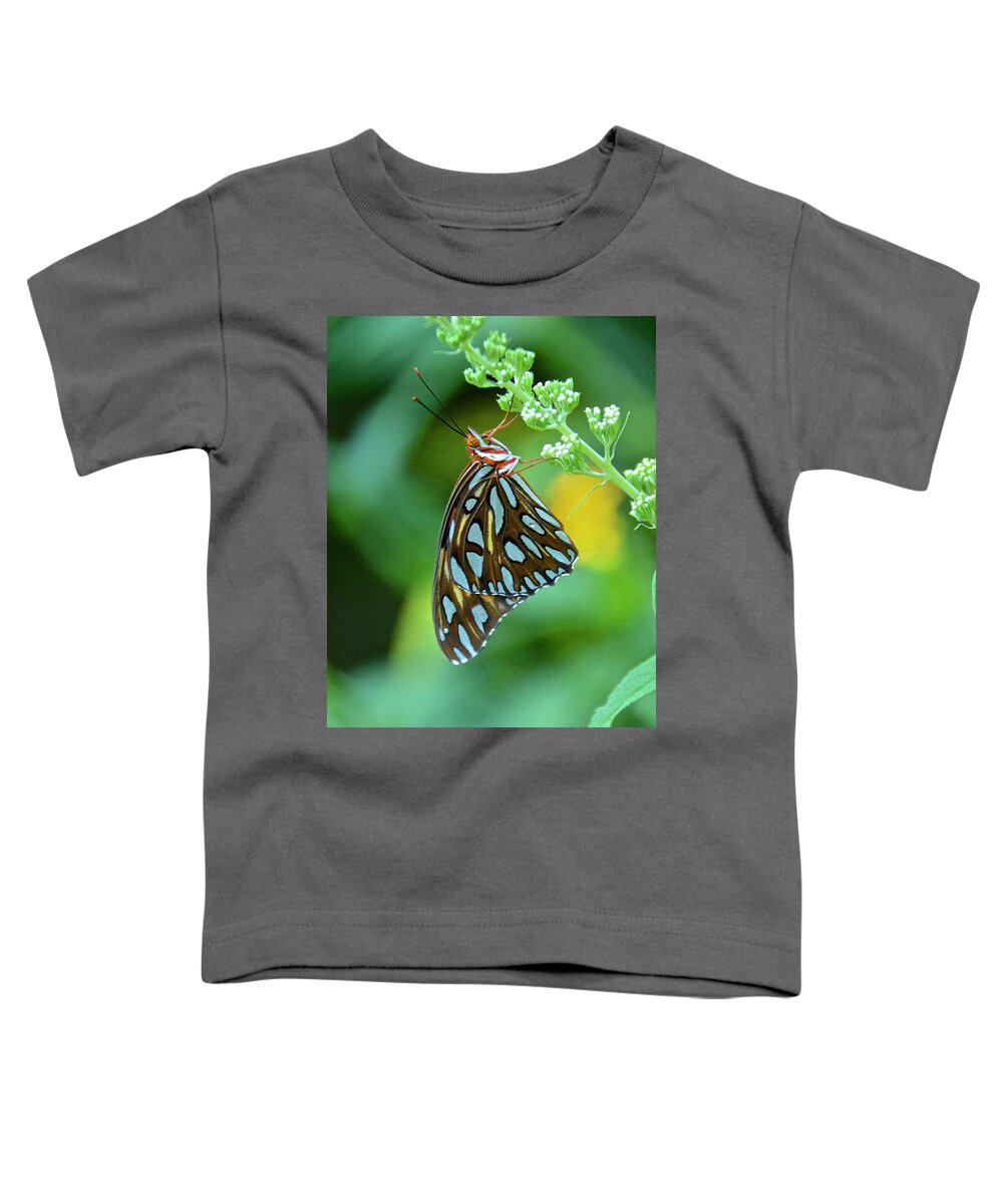 Butterfly Toddler T-Shirt featuring the photograph Gulf Fritillary on Butterfly Bush by Carol Bradley