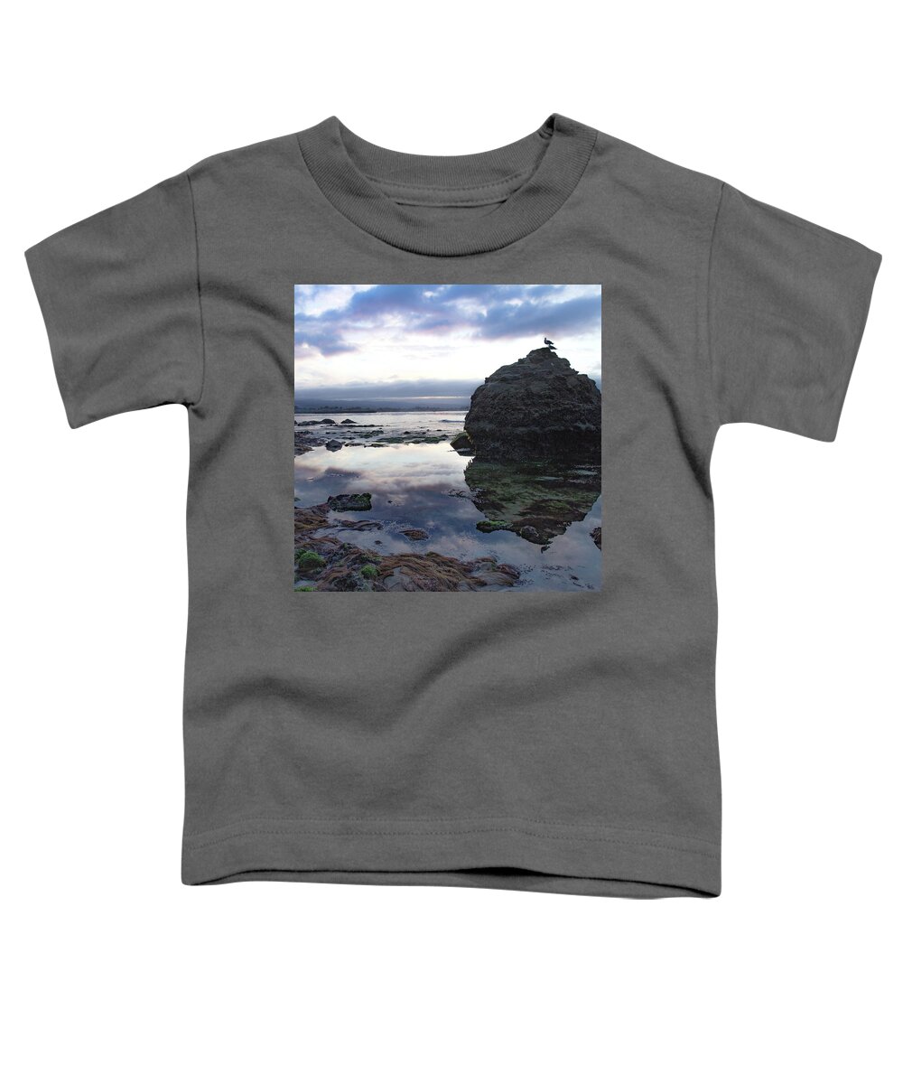 Seascape Toddler T-Shirt featuring the photograph Gulls with Clouds by Lora Lee Chapman