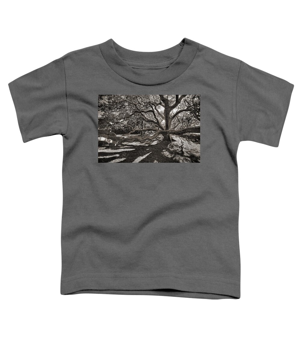 Trees Toddler T-Shirt featuring the photograph Gumbo Limbo by HH Photography of Florida