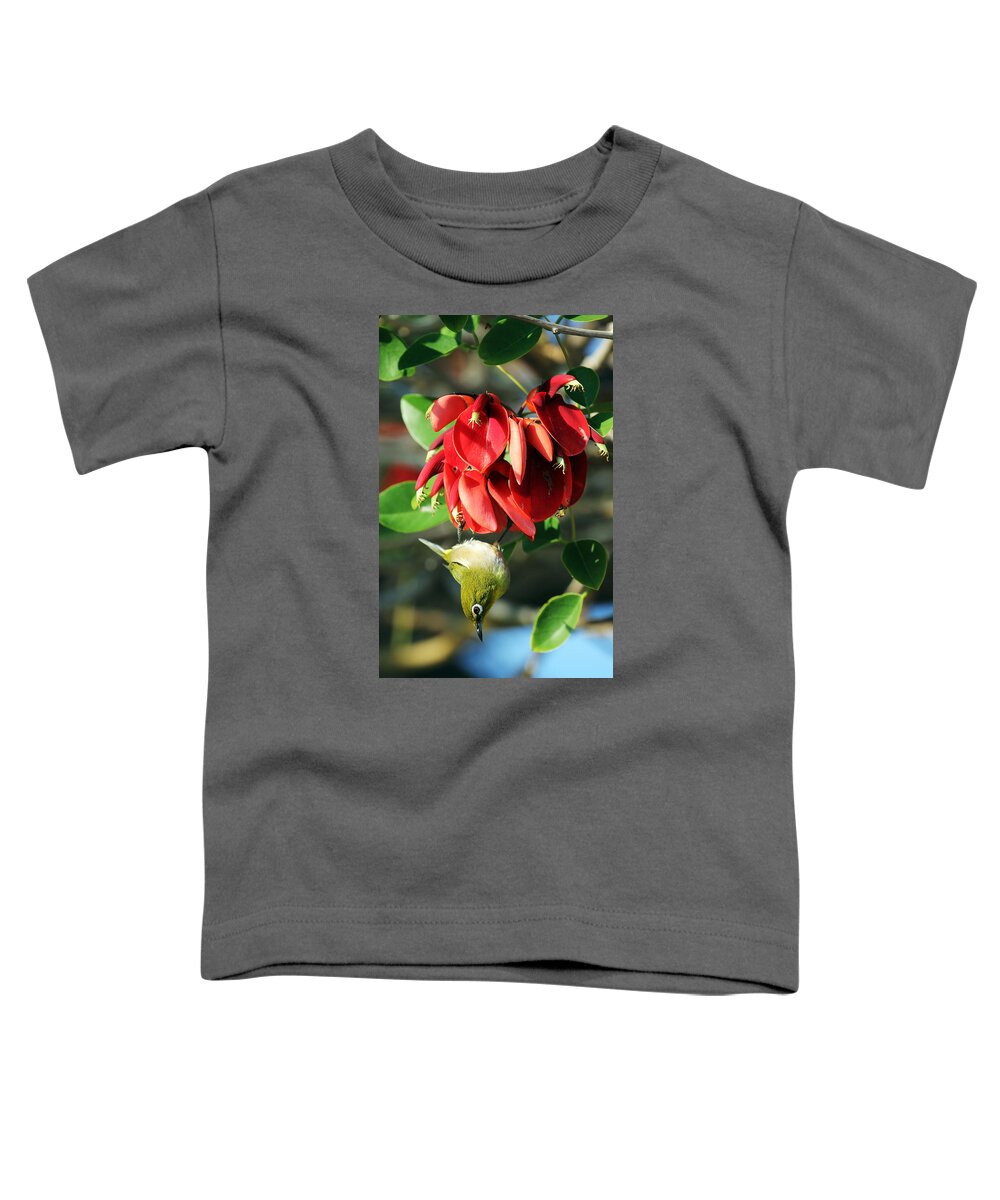 Hanging Japanese Toddler T-Shirt featuring the photograph Hanging Japanese by Jennifer Robin