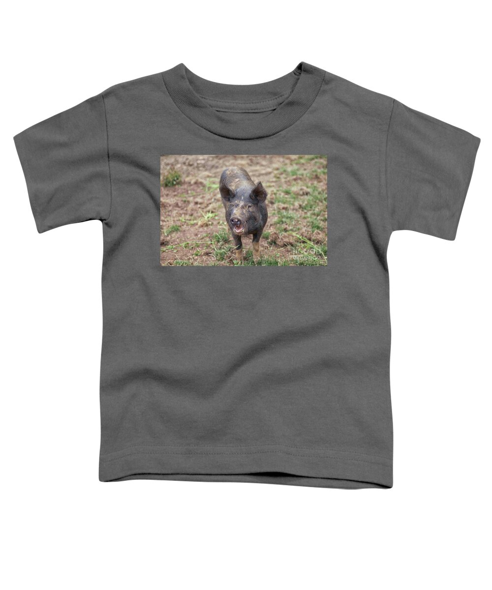 Free Toddler T-Shirt featuring the photograph Happy piglet by Patricia Hofmeester