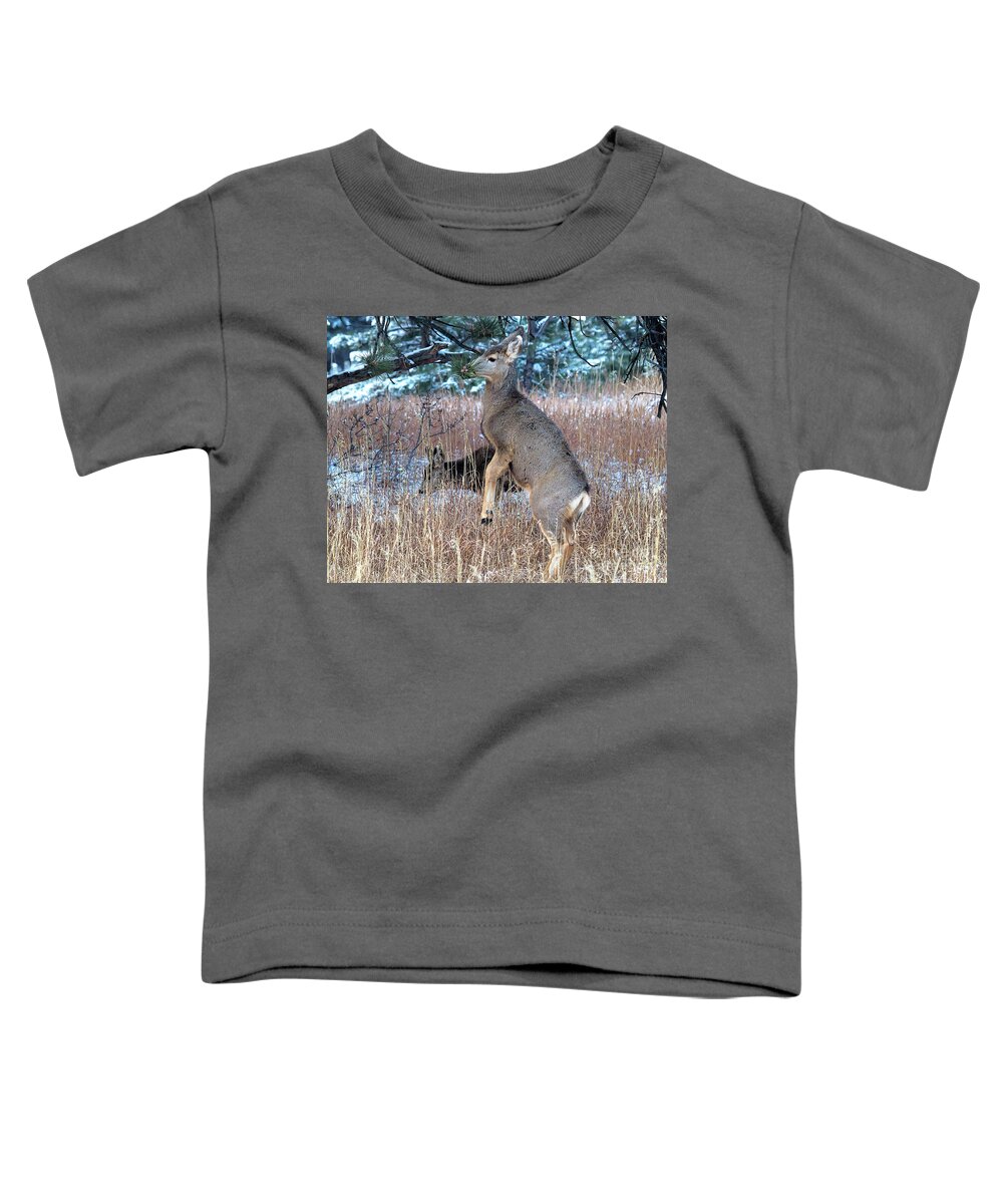 Deer Toddler T-Shirt featuring the photograph Hard to Reach by Jim Garrison