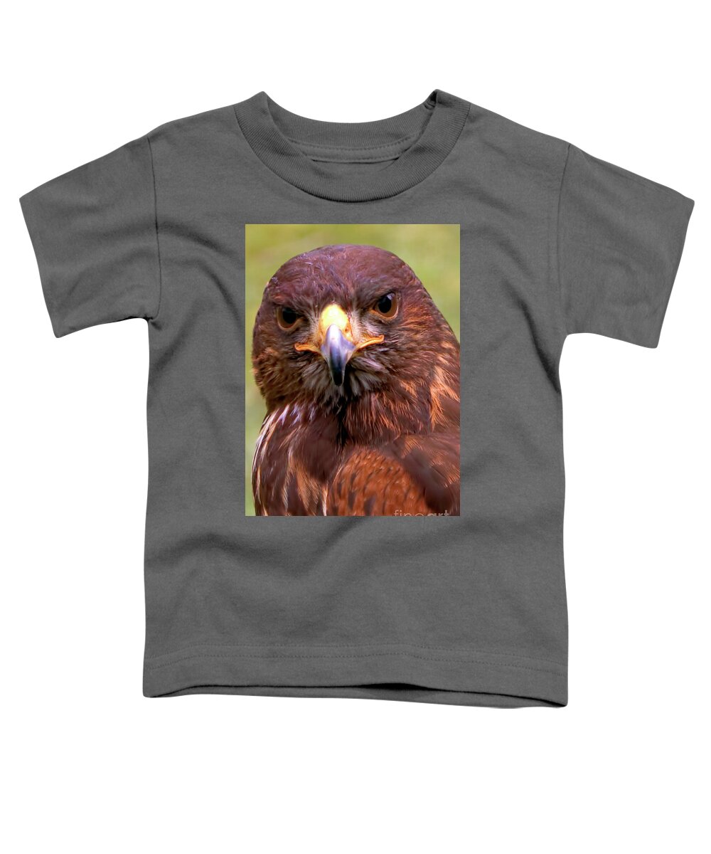 Bird Toddler T-Shirt featuring the photograph Harris Hawk Portriat by Stephen Melia