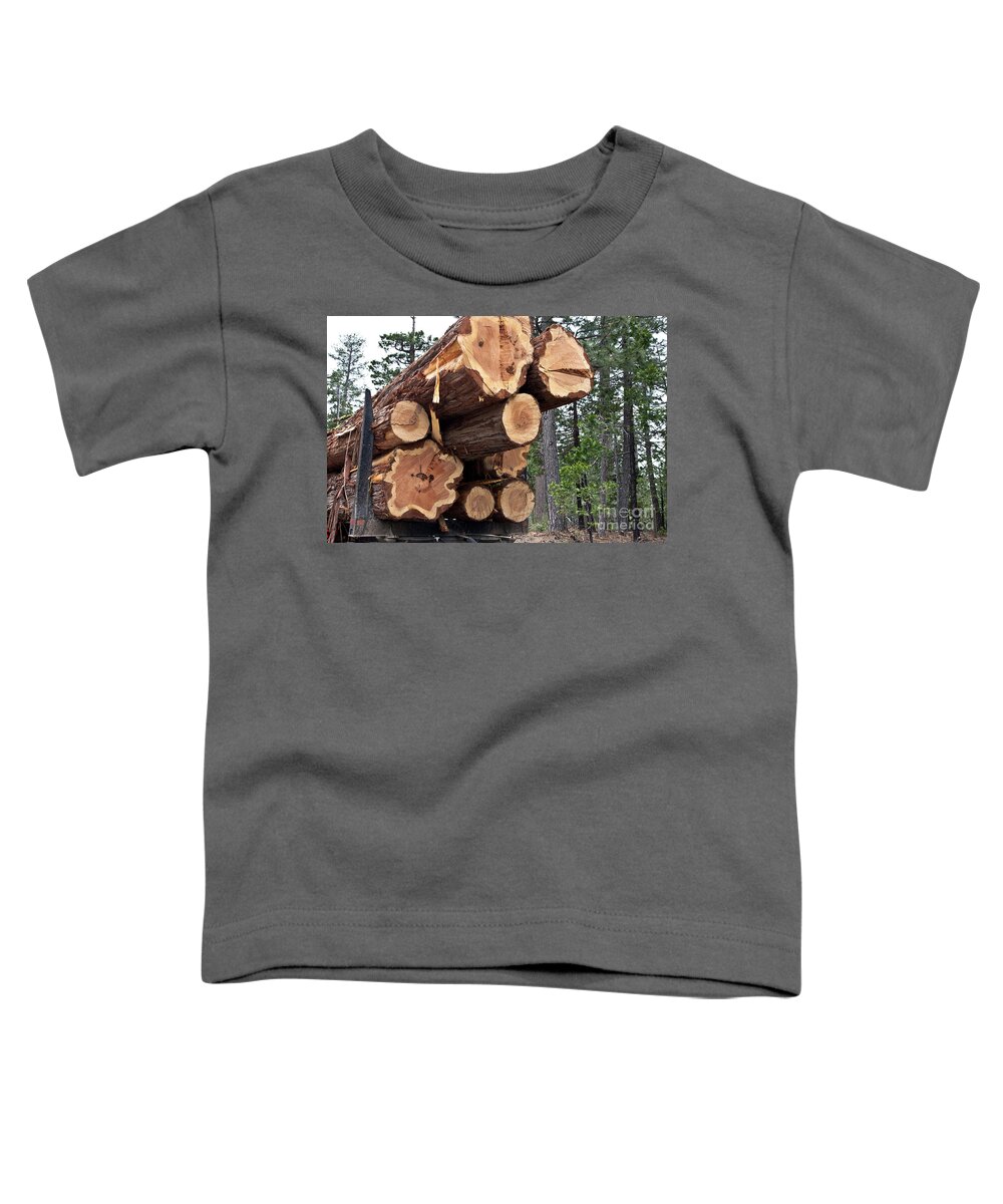 Trees Toddler T-Shirt featuring the photograph Harvested Incense Cedar Logs by Inga Spence