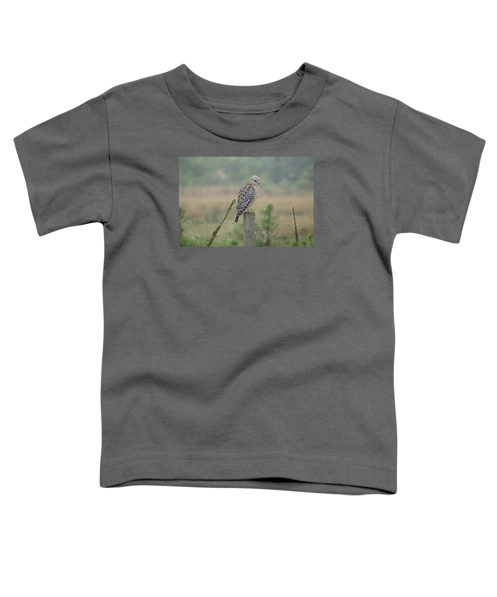 Hawk Toddler T-Shirt featuring the photograph Hawk Eye by Lindsey Floyd