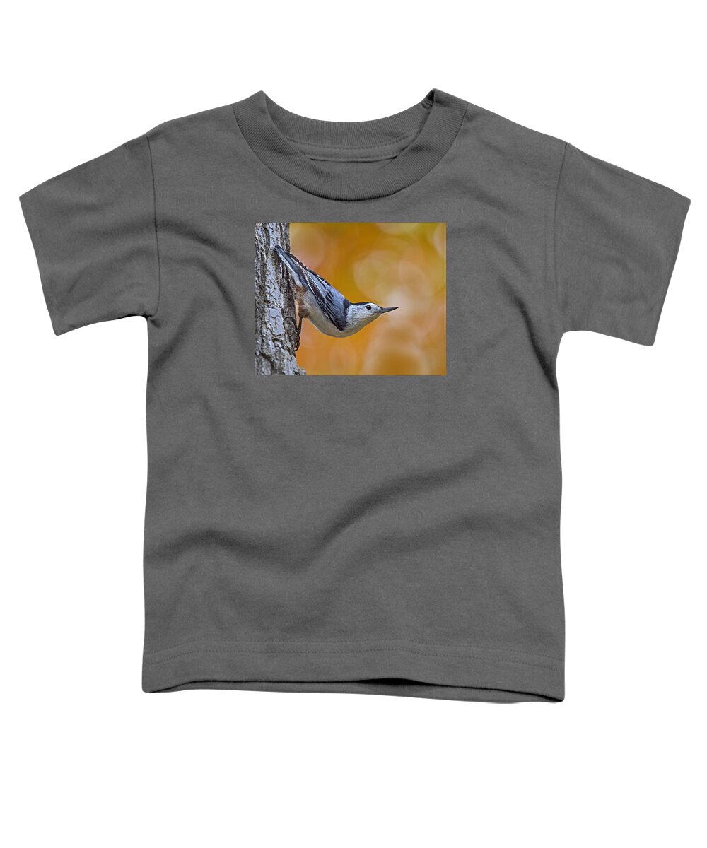 White-breasted Nuthatch Toddler T-Shirt featuring the photograph Head First by Tony Beck