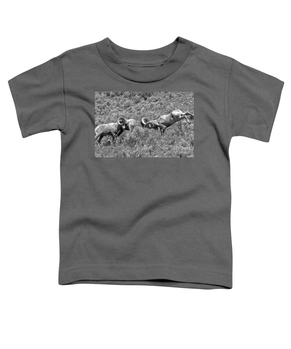 Bighorn Toddler T-Shirt featuring the photograph Head To Head At Yellowstone 2018 Black And White by Adam Jewell