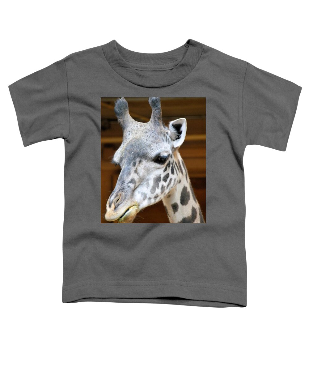 Animals Toddler T-Shirt featuring the photograph Heads Up by Charles HALL