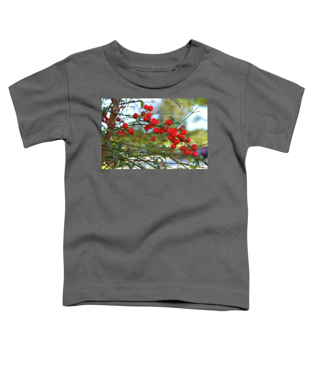 Nandina Toddler T-Shirt featuring the photograph Heavenly Bamboo by Alison Frank
