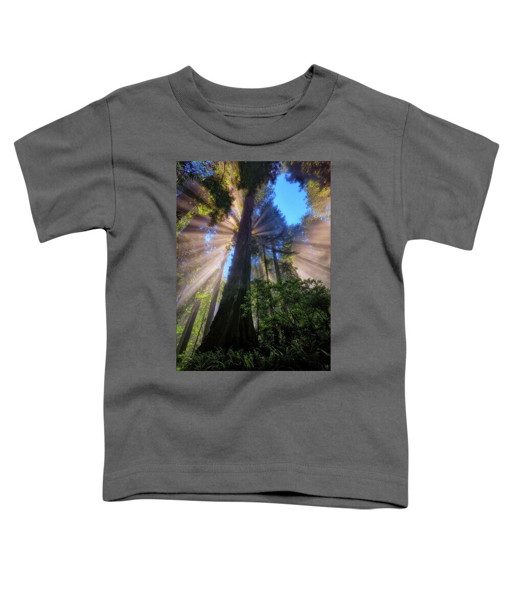 Redwoods Toddler T-Shirt featuring the photograph Heavenly Light Rays by Greg Norrell