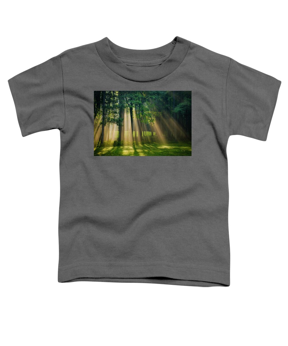 Sunrise Toddler T-Shirt featuring the photograph Heavenly Light Sunrise by Christina Rollo