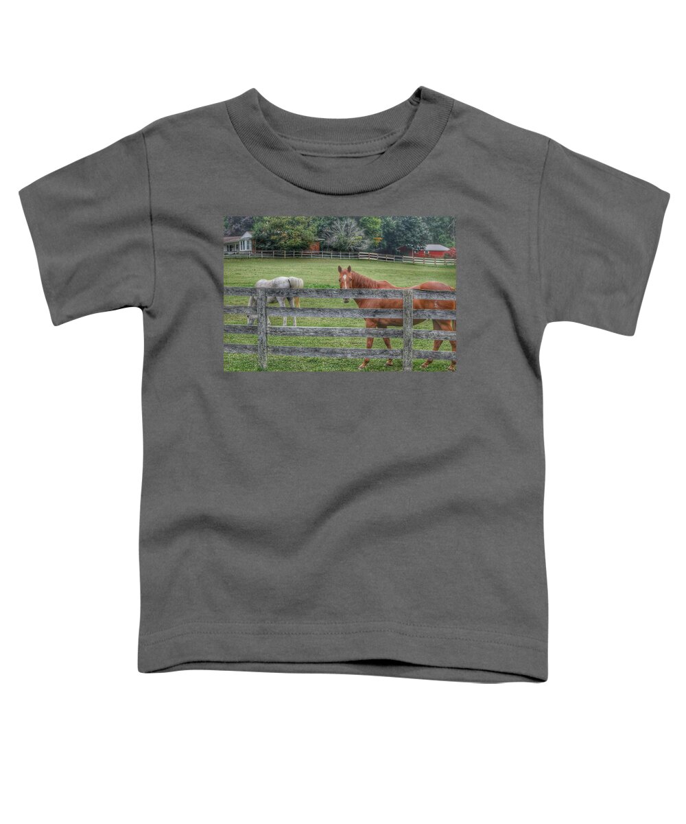 Horses Toddler T-Shirt featuring the photograph 1007 - Here's Looking at You by Sheryl L Sutter