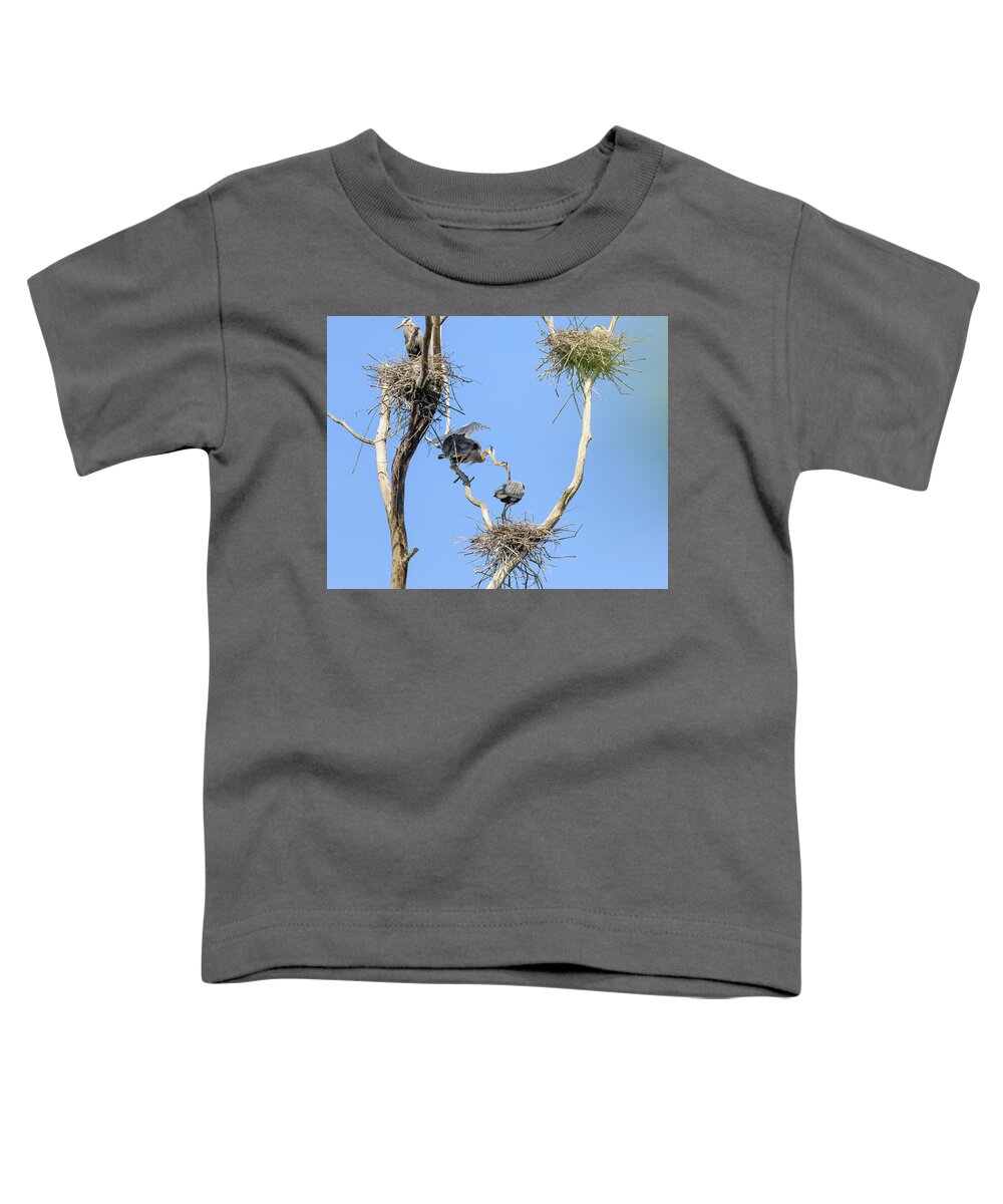 Great Blue Heron Toddler T-Shirt featuring the photograph Heron Courting 2 of 6 The Exchange by Joni Eskridge