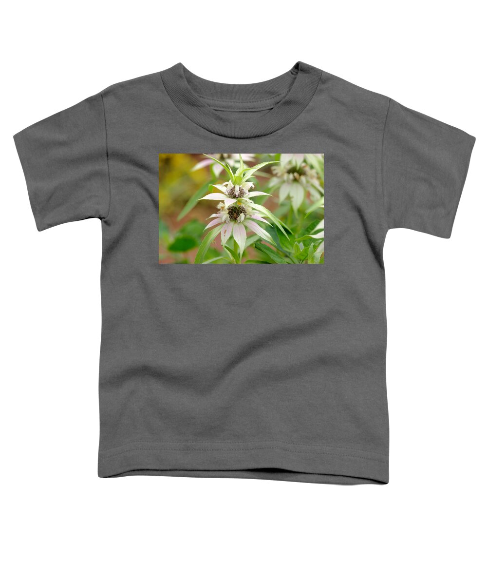 White Toddler T-Shirt featuring the photograph Hidden Beauty by James Smullins