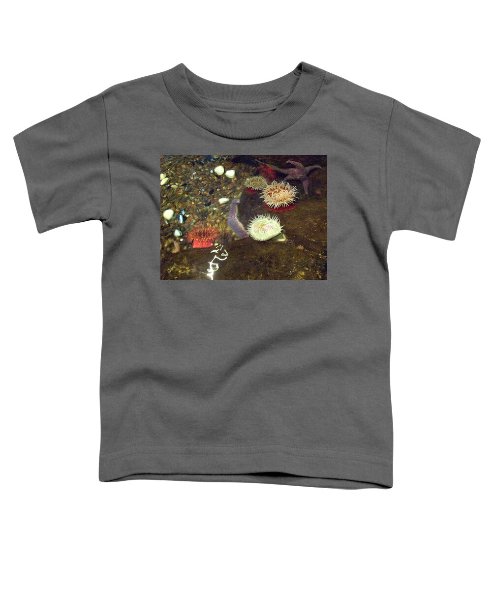 Scene Toddler T-Shirt featuring the photograph Hidden Writings by Mary Mikawoz