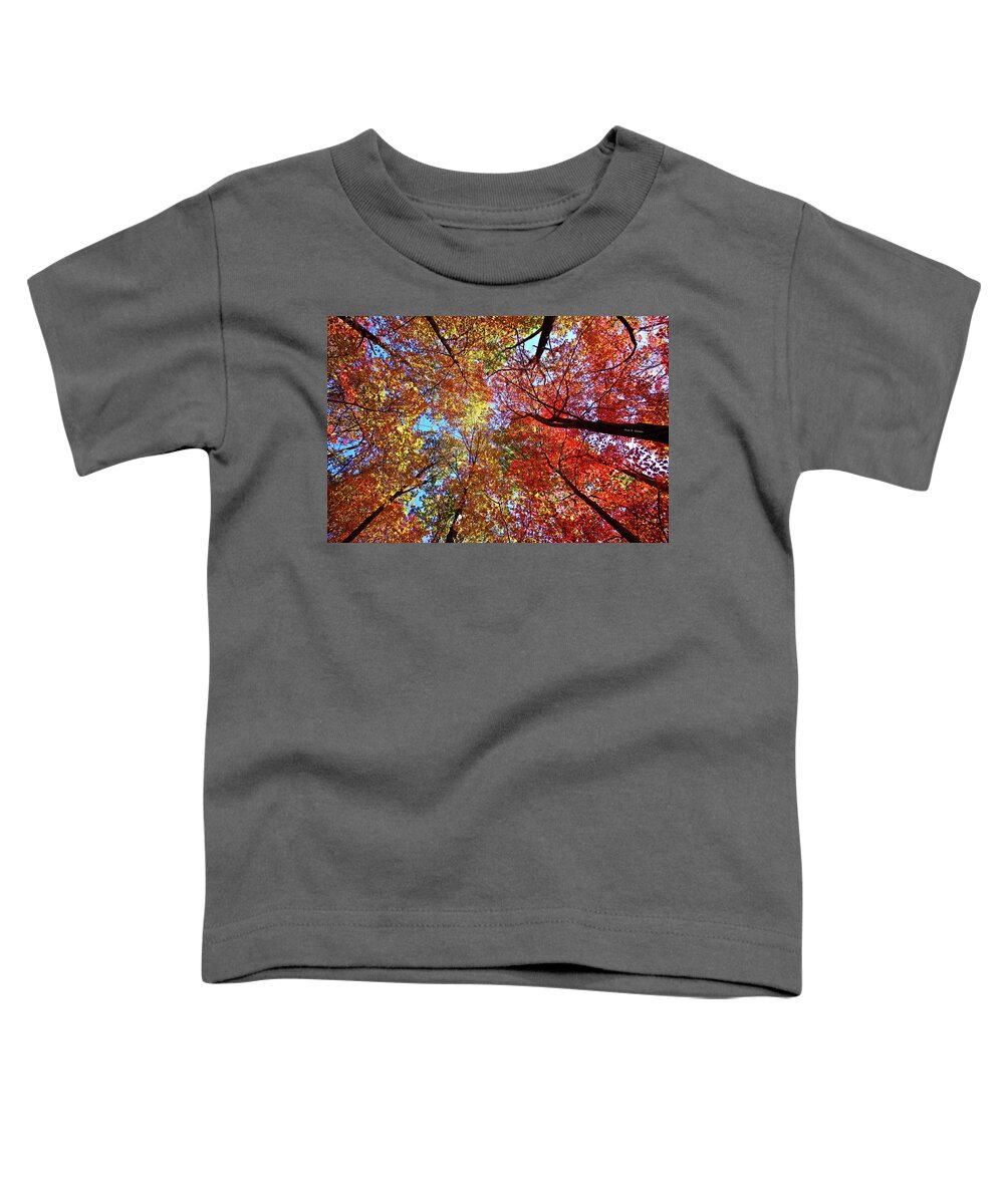 Blue Ridge Mountains Toddler T-Shirt featuring the photograph High Color by Dale R Carlson