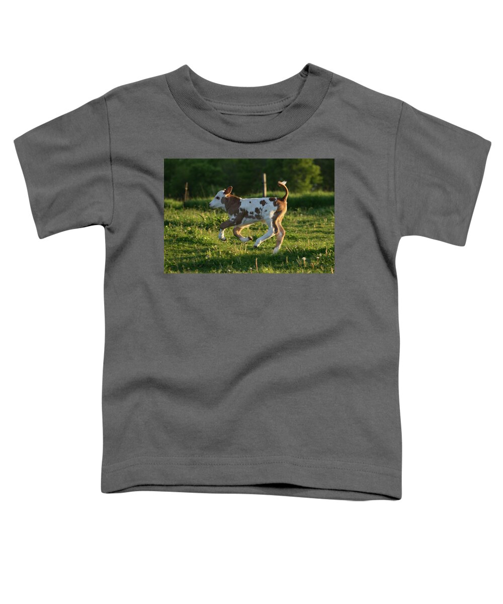 High-tailing It Back Toddler T-Shirt featuring the photograph High-Tailing it Back by Brooke Bowdren