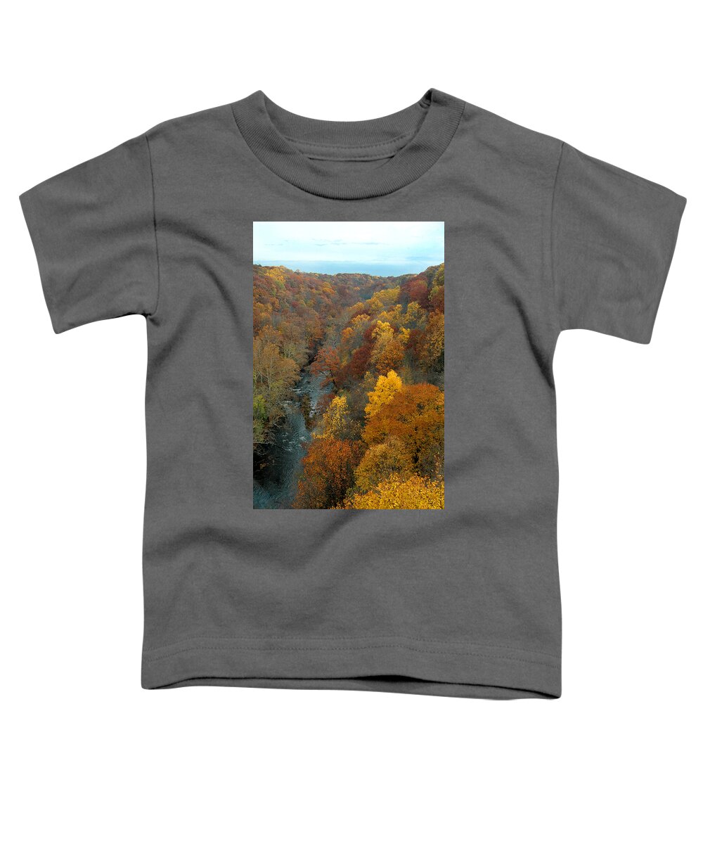 Fall Foliage Toddler T-Shirt featuring the photograph Highbridge highs by Trish Hale