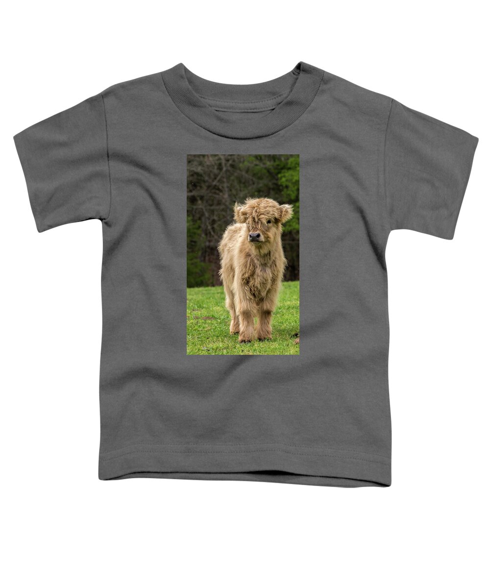 Calf Toddler T-Shirt featuring the photograph Highland Calf by Holly Ross
