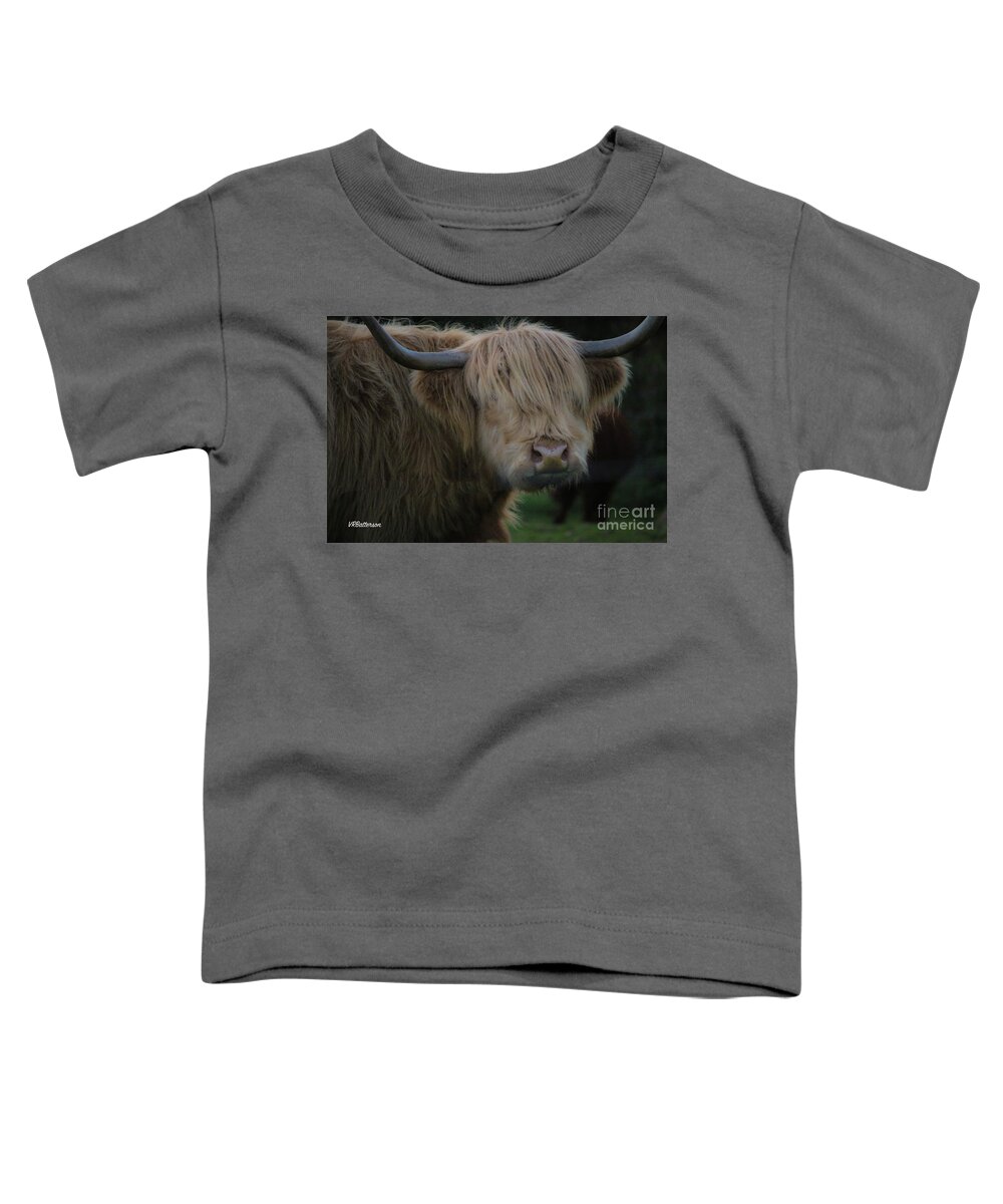 Highland Cattle Toddler T-Shirt featuring the photograph Highland Cattle Four by Veronica Batterson